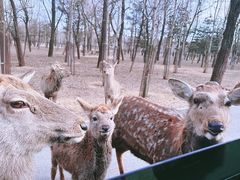 -秦皇岛野生动物园