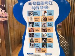 -龟与熊猫宠物公园(南坪店)