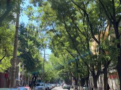 -清真喜兰老丁羊汤特色小吃