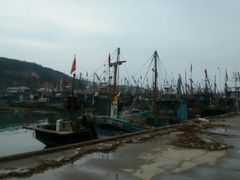 -龙王塘渔港