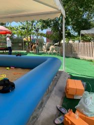 -萌宠亲子动物乐园(槐房万达店)