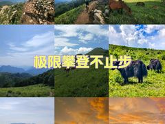 -灵山