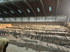 -秦始皇帝陵博物院(兵马俑)