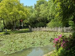 -南山风景名胜区