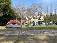 -上海滨江森林公园