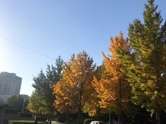 -中国石油大学（北京）(北京西校区)
