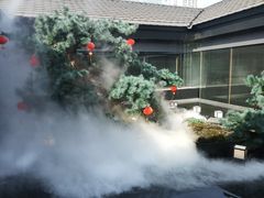 -绿茶餐厅(成都太古里店)