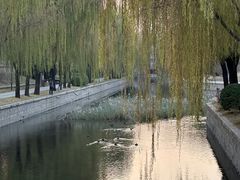 -元大都城垣遗址公园