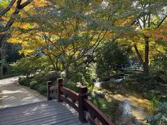 -中国茶叶博物馆(双峰馆区)