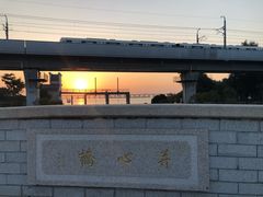 -宝安西湾红树林湿地公园