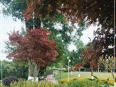 -铁山坪森林公园