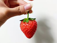 -麦当劳(杭州运河上街商业中心店)