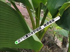 -晓港公园