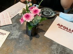 -Apollo·西班牙小酒馆(安福路店)