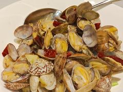 辣炒红岛小蛤蜊-双合园·海鲜水饺青岛菜(九水东路店)