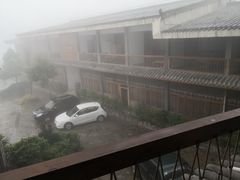 -武陵山森林公园