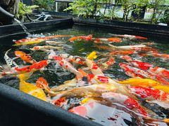 -大蜀山国家森林公园