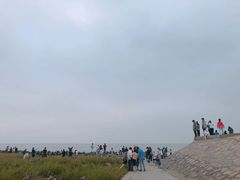 -南汇嘴观海公园