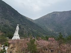 -东狮山风景区