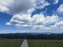 -芦芽山旅游度假区