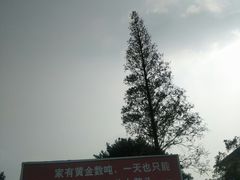 -华西村