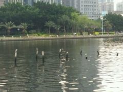 -白鹭洲公园
