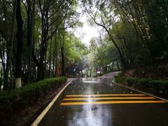 -石燕湖生态旅游景区