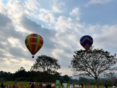 -中国科学院西双版纳热带植物园