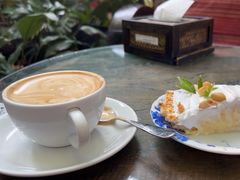 -Fern Forest Cafe