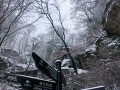 -陕西省红河谷森林公园