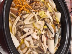 -菌之家·专业纯野生菌火锅·特色炒菌