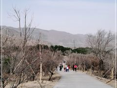 -北京西山国家森林公园