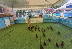 -萌宠亲子动物乐园(槐房万达店)