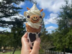 -神户市立六甲山牧场