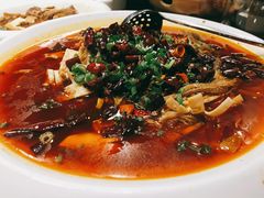 香辣毛血旺-東舍食唐精品陕菜馆