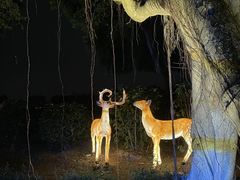 -胡里山炮台
