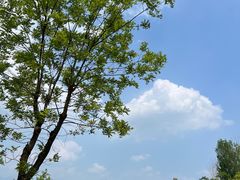 -野鸭湖国家湿地公园