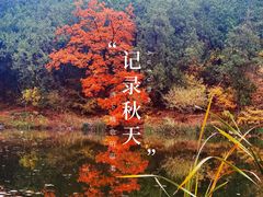 -香山公园