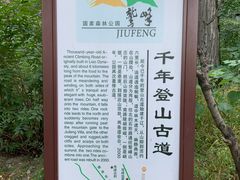 -北京鹫峰国家森林公园