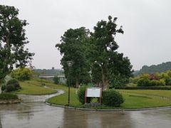 -张坝桂圆林公园