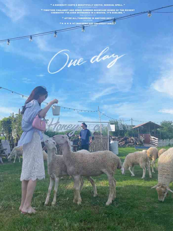 honeycc绵羊牧场摄影基地番禺南村店