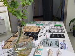 -视野联行眼镜蔡司·依视路官方授权店(顺城店)