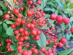 -张江润和国际总部园