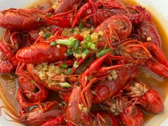 -京B·东篱精酿啤酒音乐餐厅