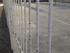 -辽宁大学(崇山校区)