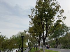 -羊山湖公园