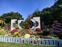 -共青国家森林公园-南大门停车场