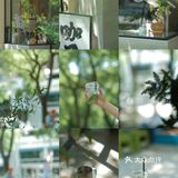 店内位置不大，但是你可以躺在露营椅上