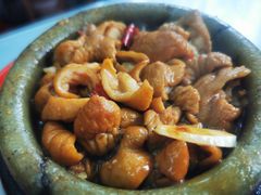 石锅肥肠-石锅坛肉(广场店)