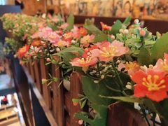 -桃太郎创作料理(大坪店)